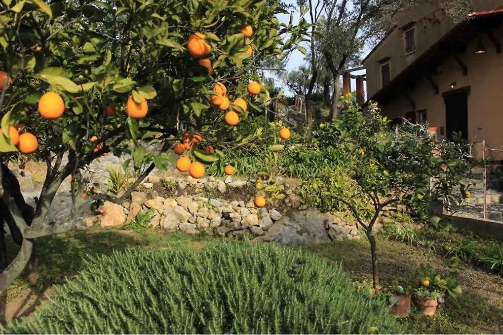 Villa Paolina Ceriale - App. 6 Posti E Terrazzo Apartmán